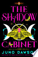 The_shadow_cabinet