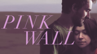 Pink_Wall