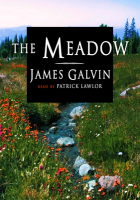 The_meadow