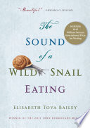 The sound of a wild snail eating